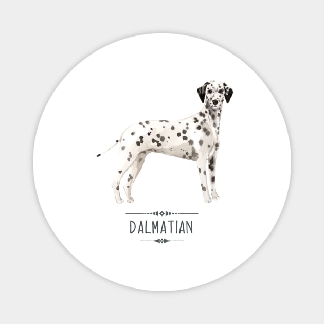 Dalmatian Magnet by bullshirter